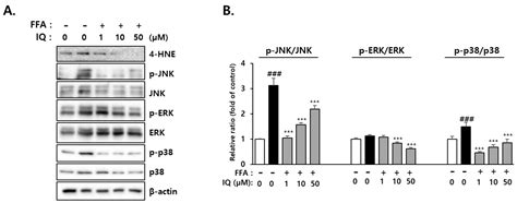 Effect of Isoquercitrin on Free Fatty Acid-Induced Lipid Accumulation ...