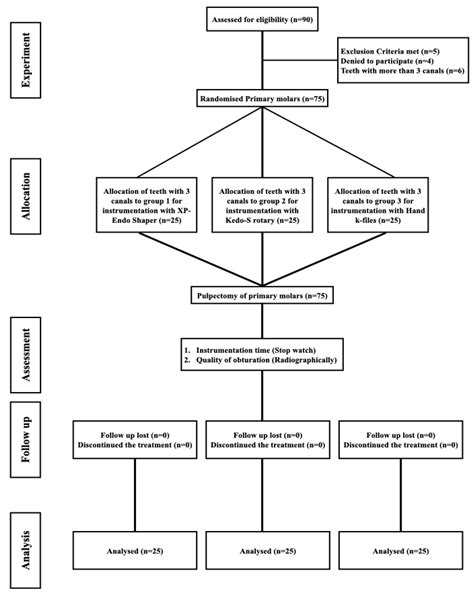 Effect of Adaptive, Rotary, and Manual Root Canal Instrumentation in ...