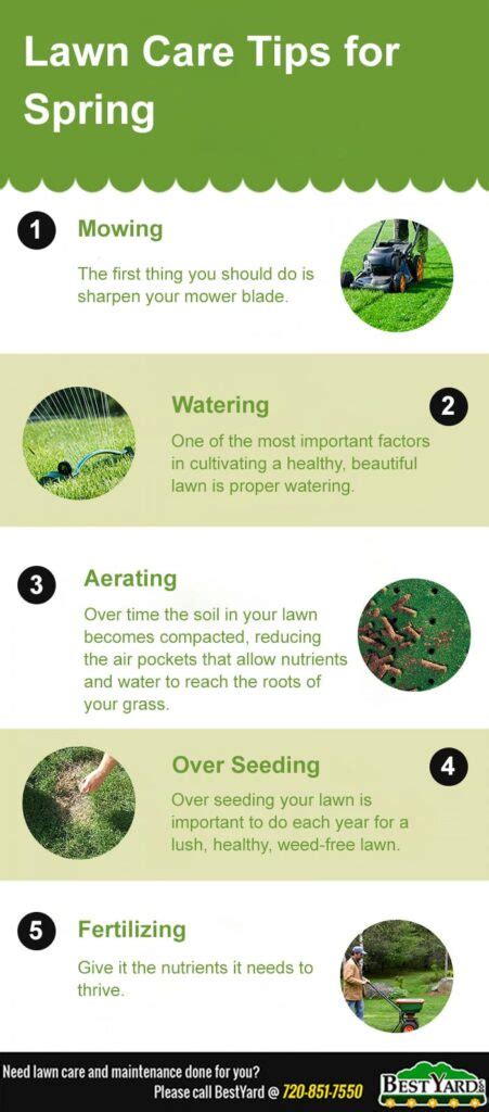 Image result for Spring Lawn Care Tips