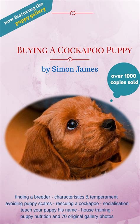 Image result for Cockapoo Rescue Dogs