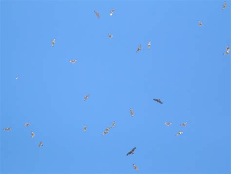 Image result for Example of Real-Time Data Graph