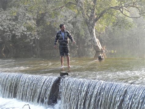 Polo Forest Tour Package - Polo Safari