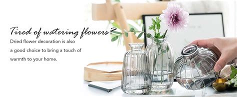 Buy Nostrae by Ekhasa 100% Crystal Clear Glass Bud Vases Flower Pots ...