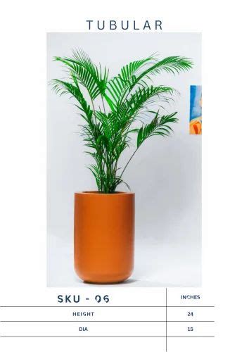 Plants Pot - Standing SKU37 Plants Pot Service Provider from Mumbai