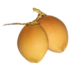 GreenDNA -Organic Online Store – GreenDNA® India