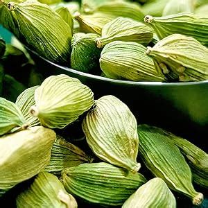 Kalpdev Green Cardamom (Elaichi) (50 Grams) : Amazon.in: Grocery ...