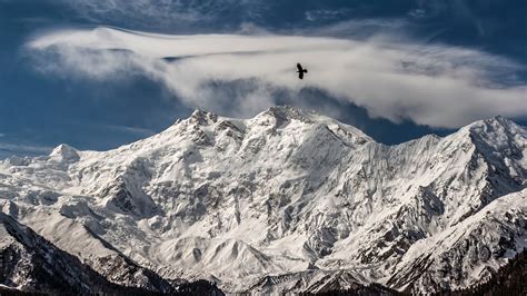 Nanga Parbat Summit