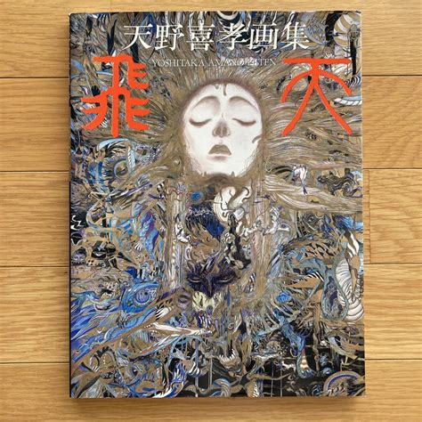 Yoshitaka Amano Bitten