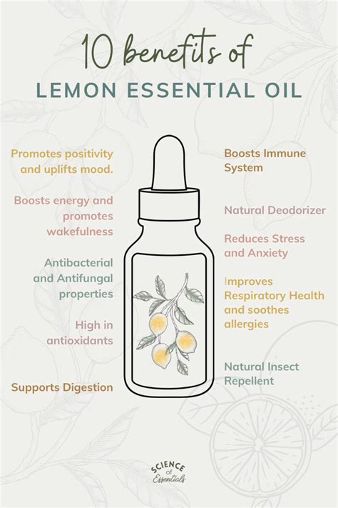 10 benefits of lemon essential oil aromatherapy lemon oil uses science ...