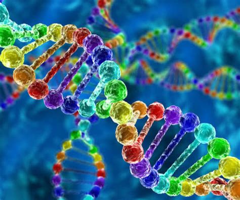 "Everything You Need to Know About Pyorrhea: Causes, Signs, and Treatment