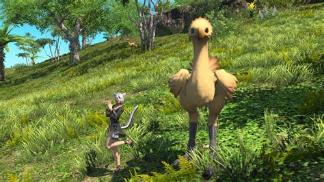 FFXIV Island Sanctuary animals list, locations, and materials