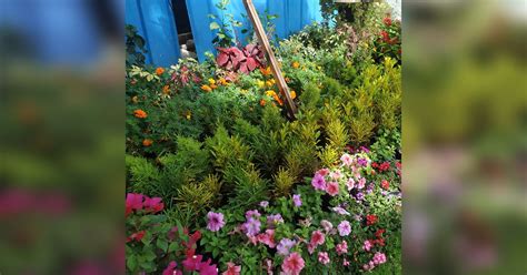 KGL Nursery And Patio Decor Store | LBB, Bangalore