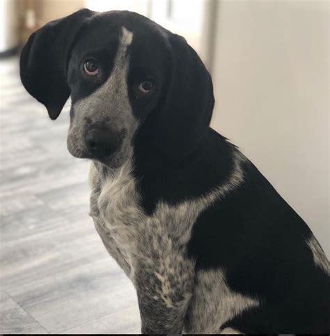 Kuvatulokset haulle bocker