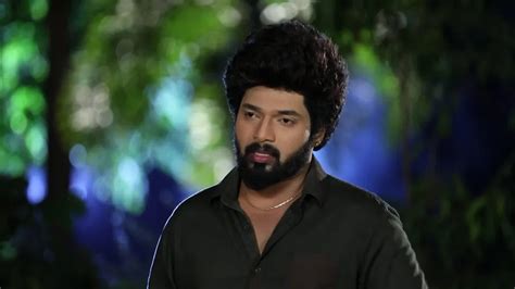 Watch Sembaruthi TV Serial Spoiler of 30th January 2019 Online on ZEE5
