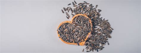9 Sunflower Seeds Benefits for Hair You’ll Love