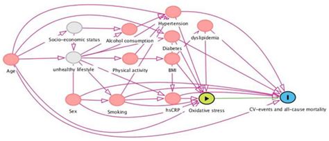 Antioxidants | Special Issue : Antioxidant Therapy for Cardiovascular ...