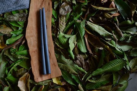 Autumn Nights Tall Taper Pair – Armatuer
