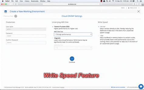 Cloud ONTAP's Write Speed Feature | NetApp