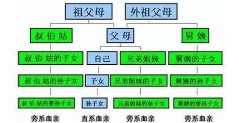 直系亲属包括哪些，直系长辈血亲(直系晚辈血亲) - 神奇评测