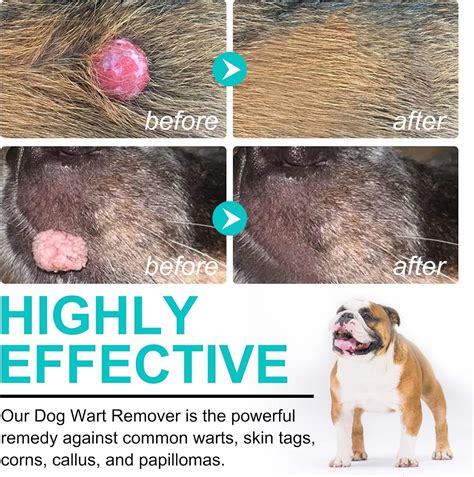 Dog Wart Remover 20ml Tag Remover for Dog Natural Dog Wart Removal ...