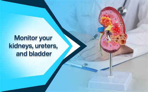 Avail CT KUB Test with Best Cost in Kolkata - Medstar Clinics