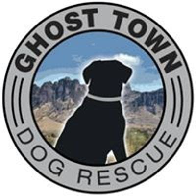 Ghost Town Dog Rescue - Dog Events | AllEvents