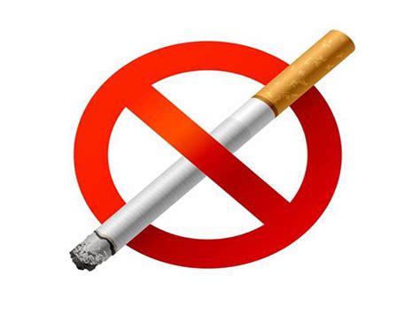 Best Pulmonologist in Mumbai,thane | Best Chest Specialist in Mumbai ...