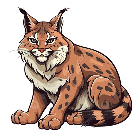 Clipart Ceann Bobcat Bobcat Vector Art, Icons, And Graphics For Free