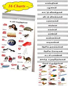 SA Enterprise Tamil Chart for Kids ( 16 Charts ) | Size 37 cm X 48 cm ...