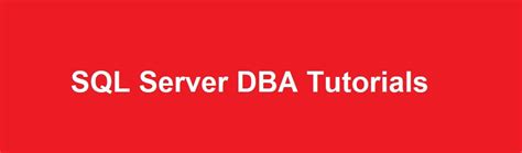 DBA Project SQL Server 的图像结果