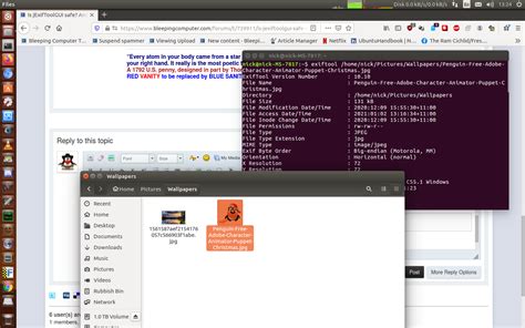 Image result for Exiftool Examples