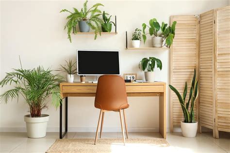 10 Vastu Tips for Home Office: Vastu for Home & Office