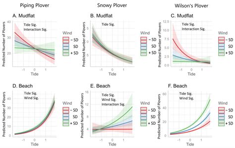 The Influence of Tide, Wind, and Habitat on the Abundance and Foraging ...