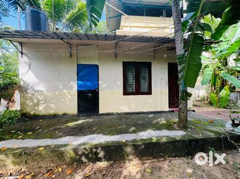 House for Rent - For Rent: Houses & Apartments - 1813641439
