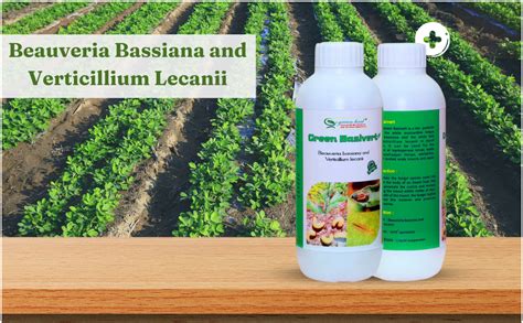 Green Heal Basivert Beauveria Bassiana and Verticillium Lecanii (500ML ...