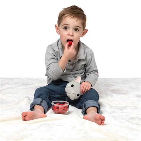 melii Snack Container - Bulldog - 1 pack – ibaby