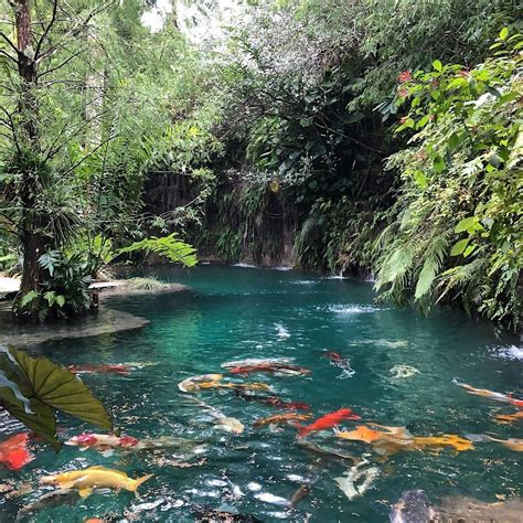 Day Pass - Patch of Heaven Sanctuary, 21900 SW 157th Ave, Miami, 1 ...