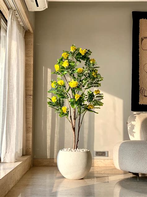 New Arrivals – Mason Home