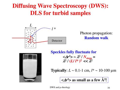 Image result for Diffusing Wave Spectroscopy