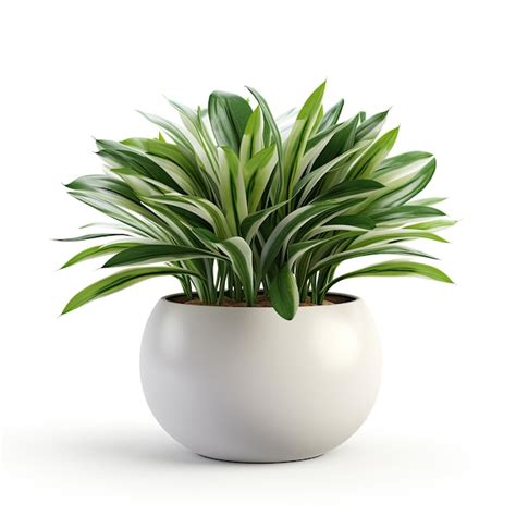 House plant potted plant on a white background | Premium AI-generated image