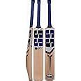 SS Sky Stunner Kashmir Willow Cricket Bat-SH : Amazon.in: Sports ...
