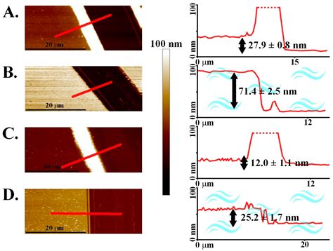 Homogeneous Embedding of Magnetic Nanoparticles into Polymer Brushes ...