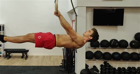Image result for Front Lever Muscles
