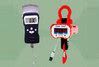 Crane Scale buy in New Delhi