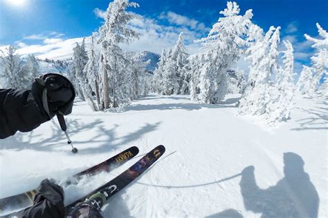 Image result for GoPro Grid Line