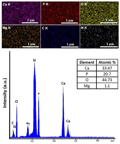 Impact of Gamma Irradiation on the Properties of Magnesium-Doped ...