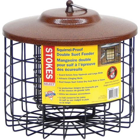 Stokes Select Black 2-Cake Metal Squirrel Proof Suet Feeder | Do it Best