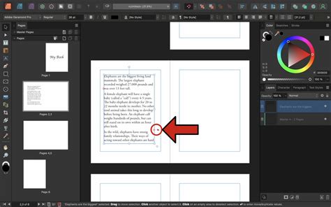 Image result for Affinity Publisher Tutorials for Beginners