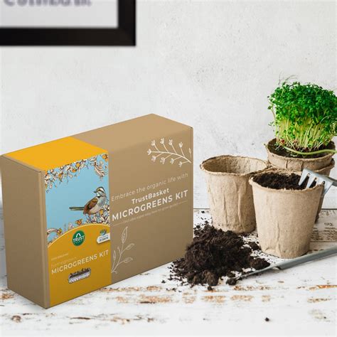 Homegrown Microgreens Kit – TrustBasket