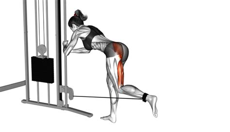 6 Exercises Seniors Should Avoid: The Worst Exercises For Older Adults ...